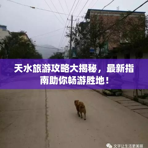 天水旅游攻略大揭秘，最新指南助你暢游勝地！