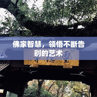 佛家智慧，領(lǐng)悟不斷告別的藝術(shù)