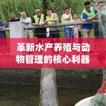 革新水產(chǎn)養(yǎng)殖與動(dòng)物管理的核心利器，新型高效智能地籠