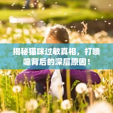 揭秘貓咪過(guò)敏真相，打噴嚏背后的深層原因！