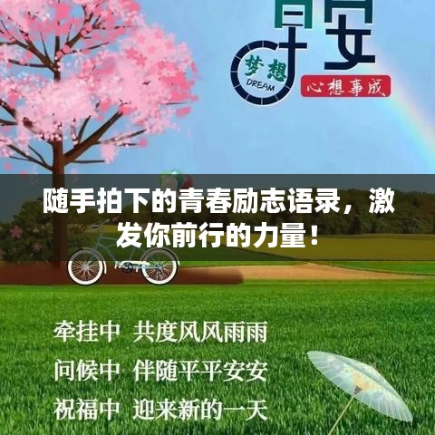 隨手拍下的青春勵(lì)志語(yǔ)錄，激發(fā)你前行的力量！