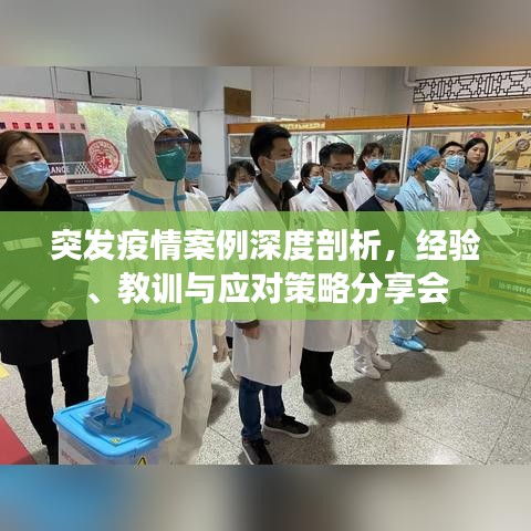 突發(fā)疫情案例深度剖析，經(jīng)驗(yàn)、教訓(xùn)與應(yīng)對(duì)策略分享會(huì)