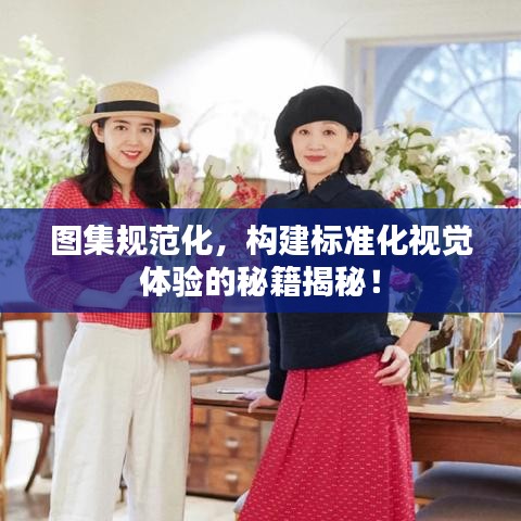 圖集規(guī)范化，構(gòu)建標(biāo)準(zhǔn)化視覺(jué)體驗(yàn)的秘籍揭秘！