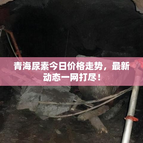 青海尿素今日價(jià)格走勢(shì)，最新動(dòng)態(tài)一網(wǎng)打盡！