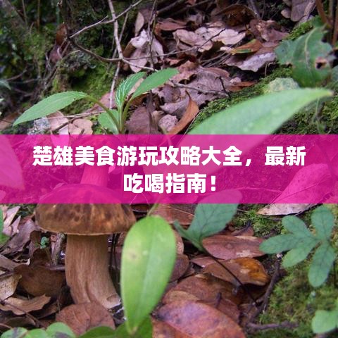 楚雄美食游玩攻略大全，最新吃喝指南！