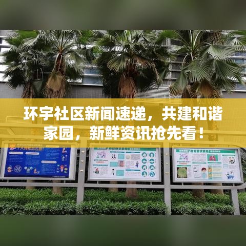 環(huán)宇社區(qū)新聞速遞，共建和諧家園，新鮮資訊搶先看！