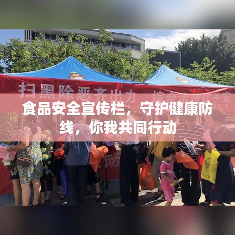 食品安全宣傳欄，守護(hù)健康防線，你我共同行動(dòng)