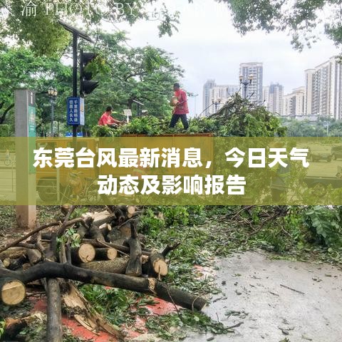 東莞臺(tái)風(fēng)最新消息，今日天氣動(dòng)態(tài)及影響報(bào)告
