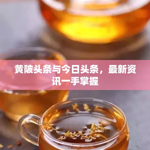 黃陂頭條與今日頭條，最新資訊一手掌握