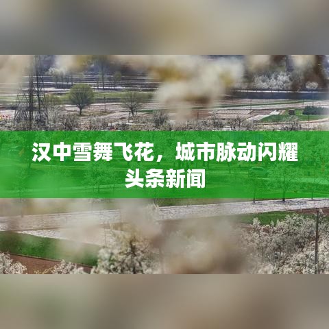 漢中雪舞飛花，城市脈動(dòng)閃耀頭條新聞