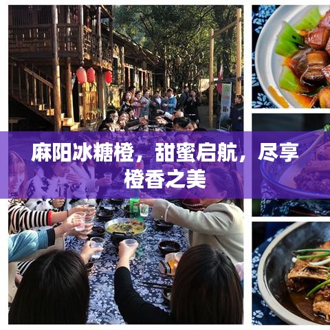 麻陽(yáng)冰糖橙，甜蜜啟航，盡享橙香之美