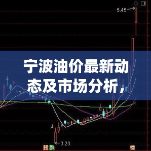 寧波油價最新動態(tài)及市場分析，今日關(guān)注焦點