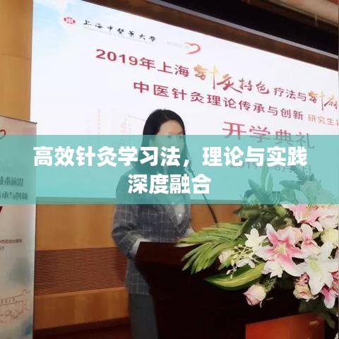 高效針灸學(xué)習(xí)法，理論與實(shí)踐深度融合