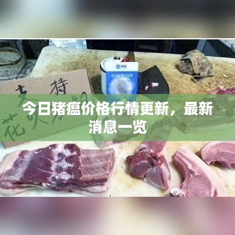 今日豬瘟價(jià)格行情更新，最新消息一覽