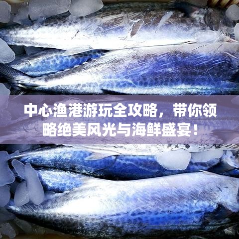 中心漁港游玩全攻略，帶你領(lǐng)略絕美風(fēng)光與海鮮盛宴！