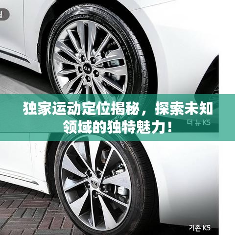 獨(dú)家運(yùn)動定位揭秘，探索未知領(lǐng)域的獨(dú)特魅力！