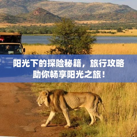 陽光下的探險秘籍，旅行攻略助你暢享陽光之旅！