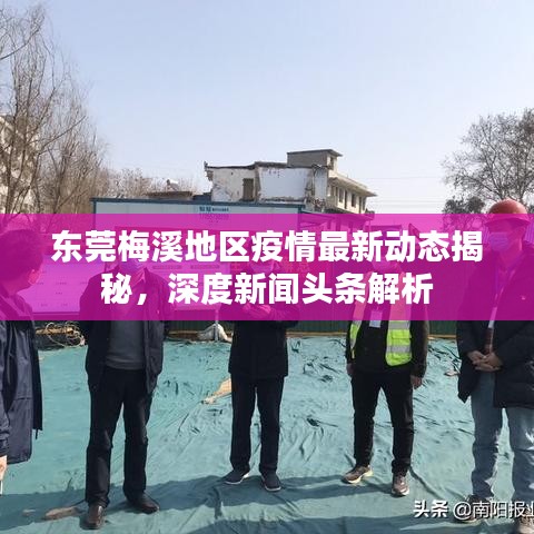 東莞梅溪地區(qū)疫情最新動態(tài)揭秘，深度新聞?lì)^條解析