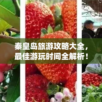 秦皇島旅游攻略大全，最佳游玩時間全解析！