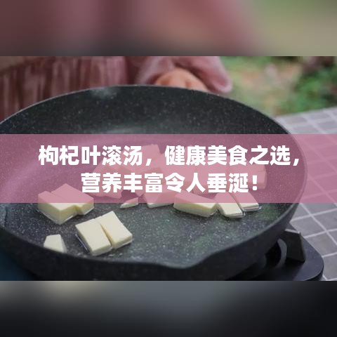 枸杞葉滾湯，健康美食之選，營(yíng)養(yǎng)豐富令人垂涎！