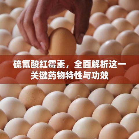 硫氰酸紅霉素，全面解析這一關(guān)鍵藥物特性與功效