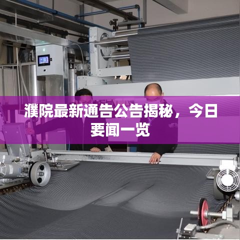 濮院最新通告公告揭秘，今日要聞一覽