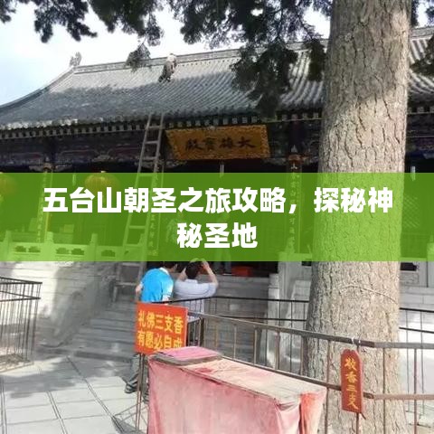 五臺山朝圣之旅攻略，探秘神秘圣地
