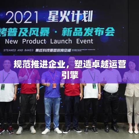 規(guī)范推進企業(yè)，塑造卓越運營引擎