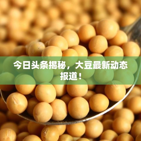 今日頭條揭秘，大豆最新動態(tài)報道！
