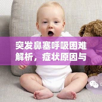 突發(fā)鼻塞呼吸困難解析，癥狀原因與應(yīng)對方法