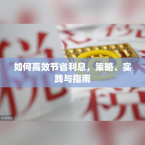 如何高效節(jié)省利息，策略、實踐與指南