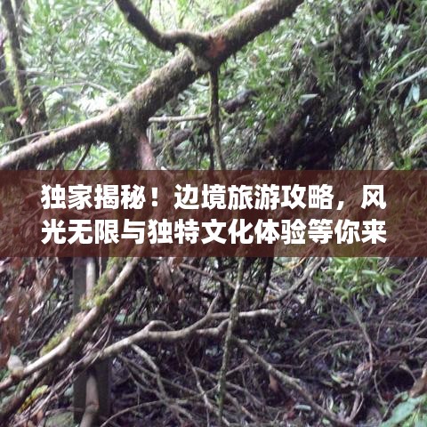 獨(dú)家揭秘！邊境旅游攻略，風(fēng)光無限與獨(dú)特文化體驗(yàn)等你來探秘！
