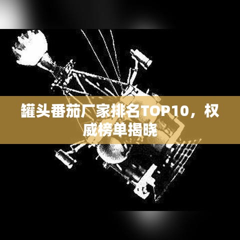 罐頭番茄廠家排名TOP10，權(quán)威榜單揭曉