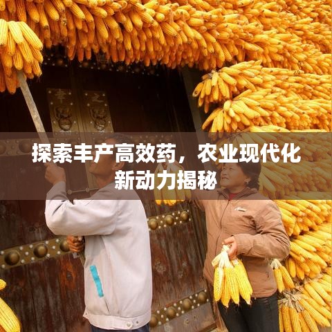 探索豐產(chǎn)高效藥，農(nóng)業(yè)現(xiàn)代化新動力揭秘