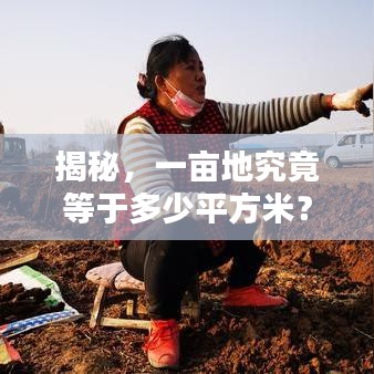 揭秘，一畝地究竟等于多少平方米？土地面積轉換全解析！