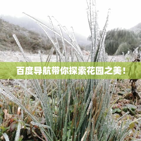 百度導(dǎo)航帶你探索花園之美！