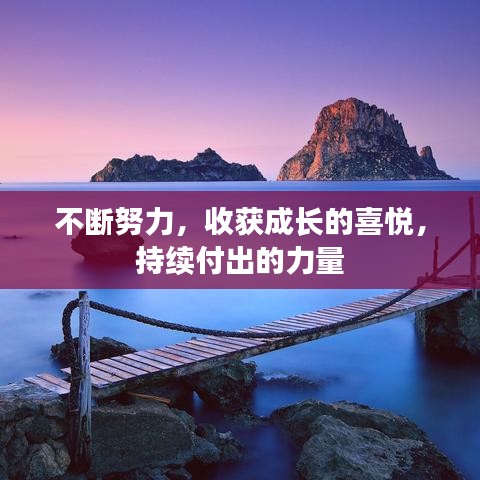 不斷努力，收獲成長的喜悅，持續(xù)付出的力量