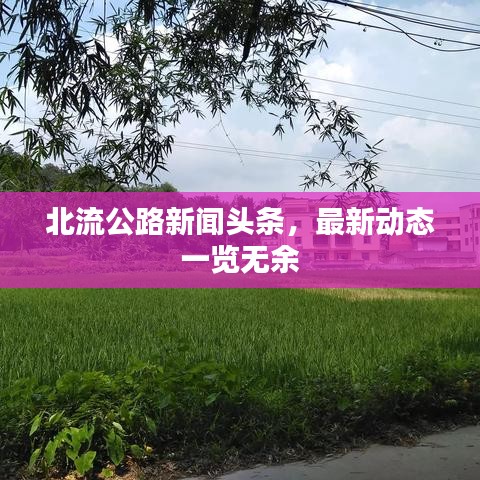 北流公路新聞?lì)^條，最新動(dòng)態(tài)一覽無余