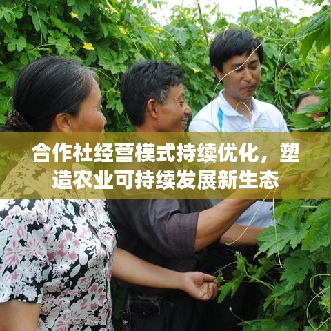 合作社經(jīng)營模式持續(xù)優(yōu)化，塑造農(nóng)業(yè)可持續(xù)發(fā)展新生態(tài)