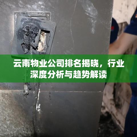 云南物業(yè)公司排名揭曉，行業(yè)深度分析與趨勢解讀