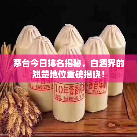 茅臺今日排名揭秘，白酒界的翹楚地位重磅揭曉！