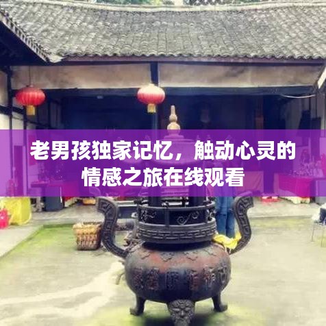 老男孩獨(dú)家記憶，觸動(dòng)心靈的情感之旅在線觀看