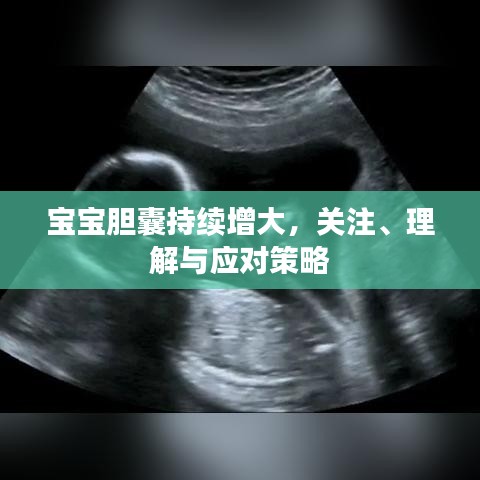 寶寶膽囊持續(xù)增大，關(guān)注、理解與應(yīng)對(duì)策略
