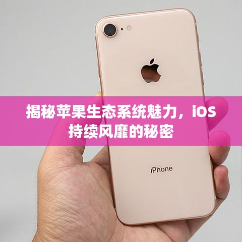 揭秘蘋果生態(tài)系統(tǒng)魅力，iOS持續(xù)風(fēng)靡的秘密