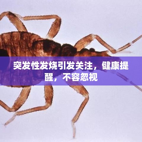 突發(fā)性發(fā)燒引發(fā)關(guān)注，健康提醒，不容忽視