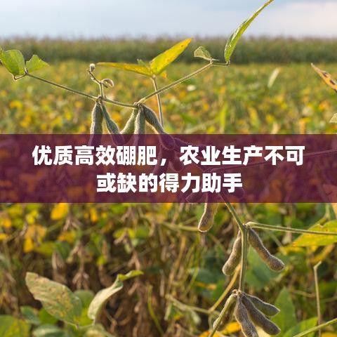 優(yōu)質(zhì)高效硼肥，農(nóng)業(yè)生產(chǎn)不可或缺的得力助手