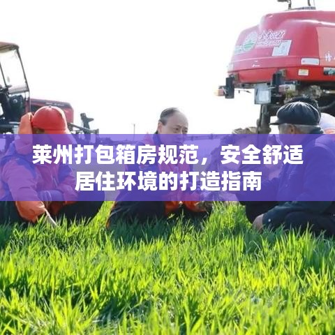 萊州打包箱房規(guī)范，安全舒適居住環(huán)境的打造指南