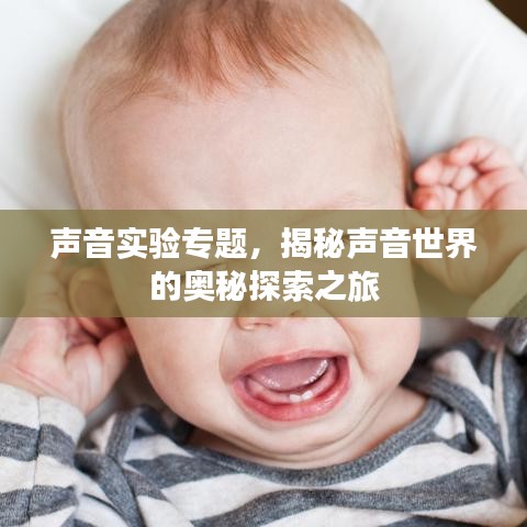 聲音實(shí)驗(yàn)專題，揭秘聲音世界的奧秘探索之旅