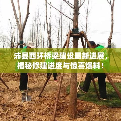 沛縣西環(huán)橋梁建設最新進展，揭秘修建進度與驚喜爆料！