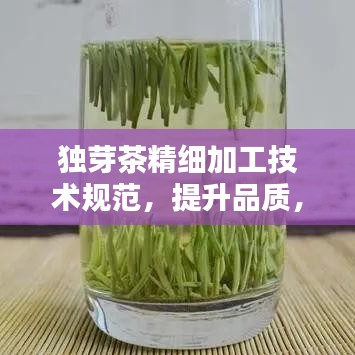 獨(dú)芽茶精細(xì)加工技術(shù)規(guī)范，提升品質(zhì)，百度收錄必備指南